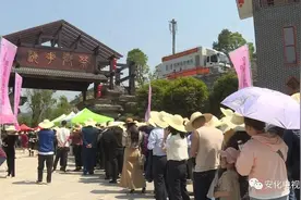 茶乡花海生态文化体验园首日开园，人气爆棚图片