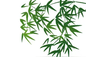 由诗仙李白的人生经历看“自我认知”的重要性图片