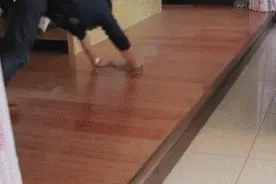 3分钟拖完整个家，上天入地它都行图片