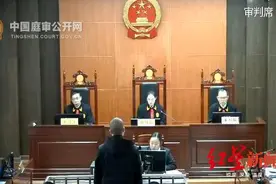 涉黑团伙阻工打人强收50多万弃土费，四川两镇干部充当保护伞获刑图片