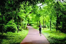 环浙步道来了！衢州试点建设1万公里登山步道，经过你家乡吗？图片
