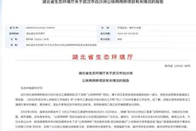 官方回应武汉白沙洲居民“高铁不走南三环”诉求：项目处于研究阶段 具体方案尚未确定图片