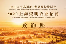 崇明数万亩良田等你来耕耘图片
