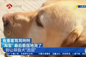 别让导盲犬"流泪"！交警扮盲人带导盲犬坐公交遭拒，公交公司道歉视频封面