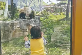 五一逛动物园吗？先收下这篇文图片