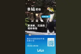B站启动4K画质升级 推出超高清创作者招募计划图片