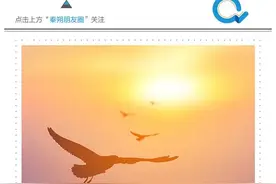 1998抗洪、2008抗震和2020抗疫图片