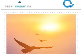 1998抗洪、2008抗震和2020抗疫图片