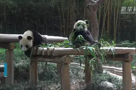 “嗨，好久不见！”视频封面