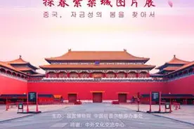 这个春天，韩国民众可以“云游中国”体味故宫芳菲美景图片