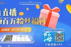 超罕见白色、黑色向日葵！8千㎡花海！就藏在珠海市区图片