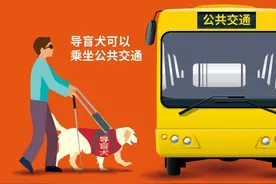 导盲犬落泪，凸显盲人融入公共空间之难图片