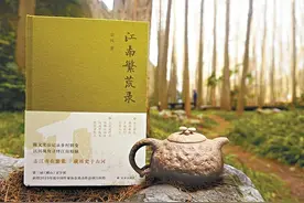 徐风：江南的典型气质是书卷气图片