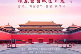 这个春天，韩国民众可以“云•游中国”体味故宫芳菲美景图片