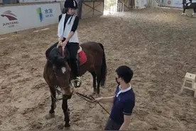 壹点相亲｜品美食骑骏马！相亲会现场，6对单身男女找到心仪对象图片