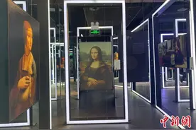 《致敬达芬奇》光影艺术展长沙再现达芬奇天赋图片