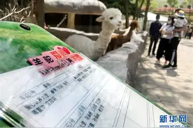 青岛：野生动物爱心认养图片