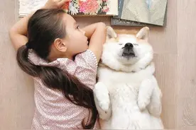 法国混血小姑娘与柴犬形影不离 好暖心图片