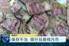 200多万不敢存银行，埋在自己院子里？村民挖出现金，银行犯了难视频封面