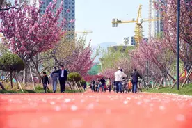 城市新地标！荣成石岛凤凰湖公园正式开园图片
