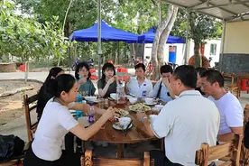 儋州黄皮熟了 大成镇南吉村百年黄皮园等您摘图片