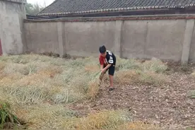我劳动，我光荣，做最美劳动者——德阳市青云山路小学校庆五一劳动节系列活动（三）图片
