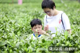 青山绿水间阵阵欢声笑语！革命老区桐庐新合乡，这个假期很欢乐图片