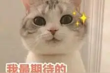月均薪资5位数？你没看错，中国交通广播又招人了图片