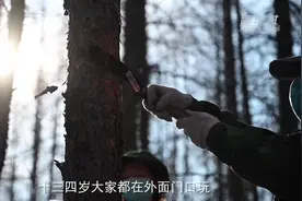 劳动者之歌｜绿色卫士“红牡丹”视频封面