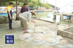 阳西：食品配送企业严把安全关图片