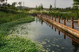 南宁那考河：一条臭水沟逆袭成为网红取景地(组图)图片