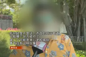 深圳湾海域泛起大片红褐物质？莫慌！那是赤潮图片