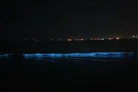 泉州海湾现成片“蓝眼泪”，美！视频封面