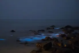 马祖“蓝眼泪”图片