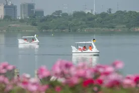 金华“小西湖”假期添游船图片