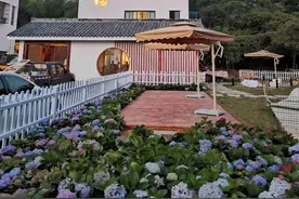 到田野大地去！广州乡村游有序复苏，从化特色小镇尽显生态之美图片