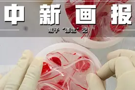 核酸检测总共分几步？来看一只瓶子的“漂流”记图片