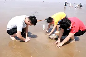 37秒｜黄河入海口红滩赶海拾贝 亲近大海收获满满图片