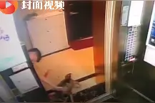 哈士奇被偷走虐待后续：虐狗者被警方拘留14日图片