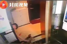 哈士奇被偷走虐待后续：虐狗者被警方拘留14日图片