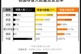 图解｜中国导盲犬不足200只，合规出行却常碰壁图片