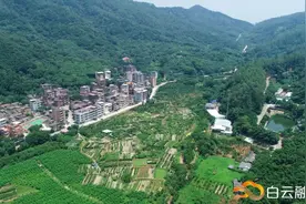 太和镇将崛起3000亩现代化农业园区图片