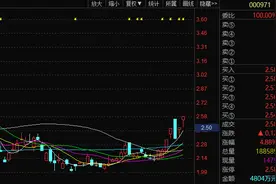 *ST高升实控人15%股份被拍卖 董事长张岱控制企业3.93亿元接盘图片