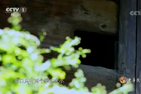 中华民族：怎雷地区的民居没有阳台，窗户仅有2个拳头大，咋回事视频封面