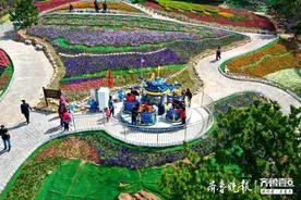 枯桃花艺生态园免费入园取消，执行原票价图片