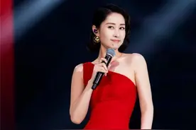 唱歌太投入成了表情包 刘敏涛：我真的没醉图片