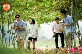《向往的生活》第四季再续温情 周迅张婧仪本周做客蘑菇屋图片