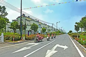 盐城大丰恒北村：梨园新姿引客来图片
