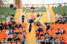 “五一”假期“龙之梦”系列产品聚人气图片