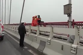 外卖骑手翻越徐浦大桥栏杆疑似轻生 两名消防员一把将他拉下图片